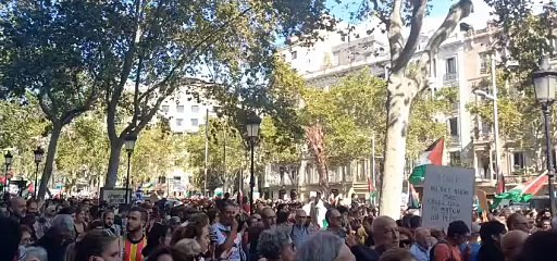 Ambient manifestació pro-Palestina