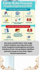 Apa saja Tanda dan Gejala Penyakit Ginjal Kronis (PGK)