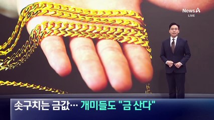 금값 폭등! 투자자들 ‘금 산다’ 러시 🚀