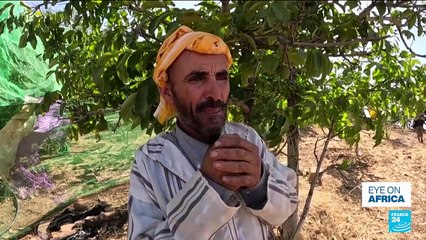 Morocco: In Azilal region, locals fight to preserve herders's ancestral whistled language