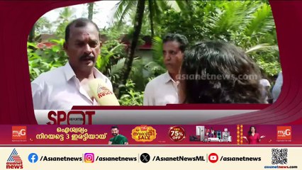 'പത്തിരുപത് പട്ടികളുണ്ട്, കടിച്ചുപറിച്ചിട്ടേക്കുവാ'; ആലപ്പുഴയിൽ പശുക്കിടാവിനെ കടിച്ച് കൊന്ന് തെരുവുന