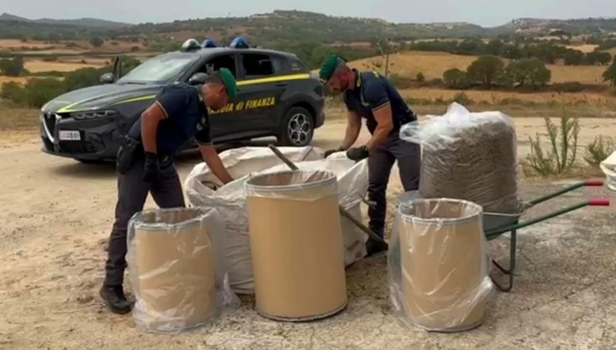 Maxi sequestro di marijuana in azienda agricola: 2mila piante e 276 chili nascosti (04.10.25)