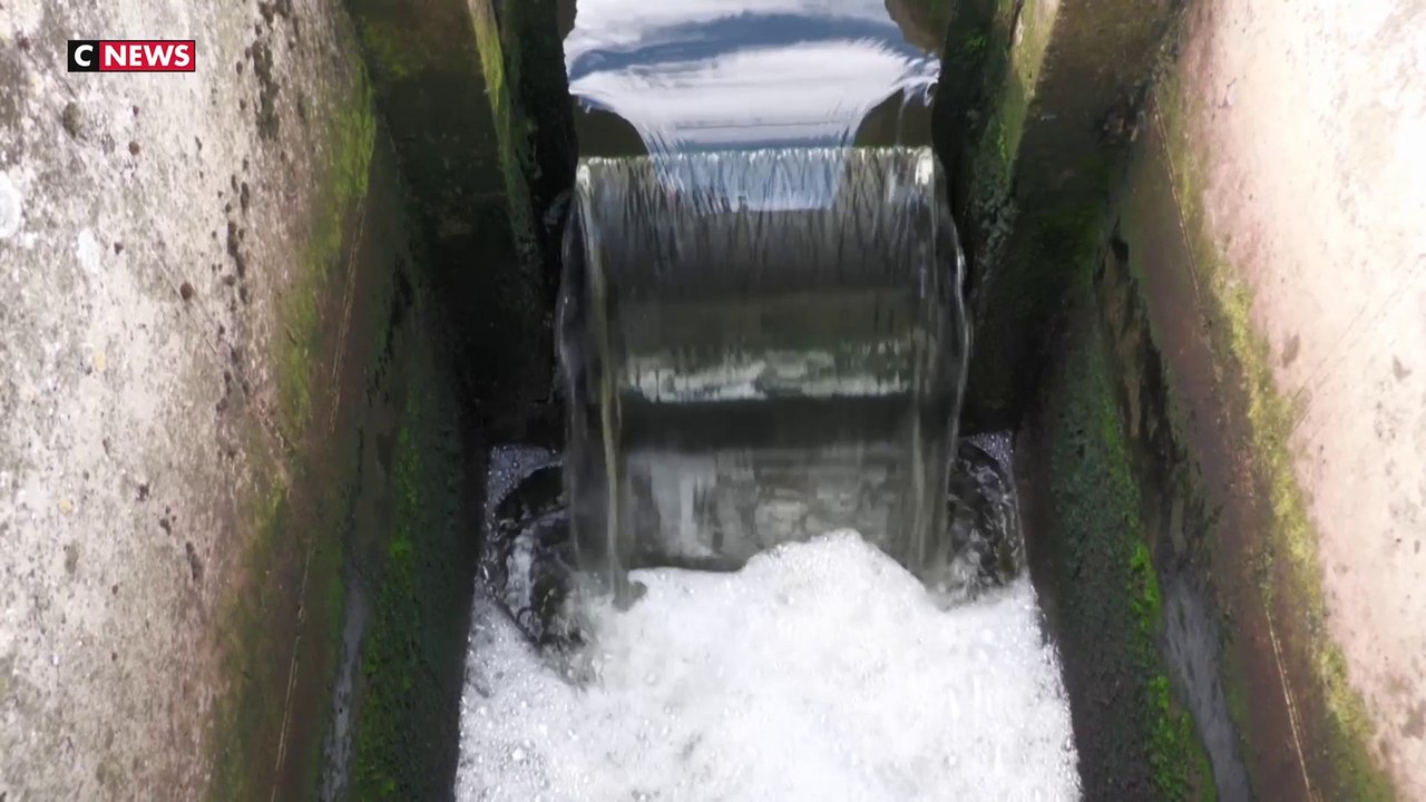 Vendée : l'eau de plus en plus épurée grâce à un filtre innovant