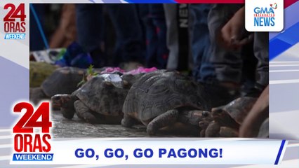 Go, go, go pagong #shorts | 24 Oras Weekend