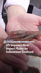 US Imposes New Import Rules On Indonesian Seafood