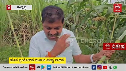 ಹುಬ್ಬಳ್ಳಿ; ಸಿಹಿ ಜೋಳದ ದಂಟಿನಿಂದ ಬೆಲ್ಲ ತಯಾರಿಸಿದ ರೈತ: ಇದು ದೇಶದಲ್ಲೇ ಮೊದಲು!! - ಉತ್ತರ ಕರ್ನಾಟಕ ರೈತರಿಗೆ ವರದಾನ