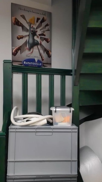 Ratatouille in Real Life: Paris Filming Locations & Inspirations