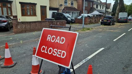 Falling tree causes damage to Wolverhampton properties as Storm Amy hits