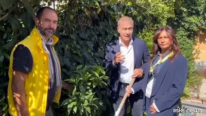 Pecoraro Scanio: "25 anni di Festa degli Alberi nelle scuole"