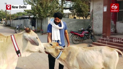 Ghaziabad's Harry Chaudhary Who Made Life Of Stray Animals On Roads Safe Through Reflective Collars