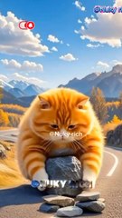 #the ill-fated predator,  #cat video,#cat funny,#cute cat@Richy.syarif_444