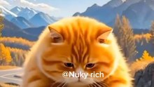 #the ill-fated predator,  #cat video,#cat funny,#cute cat@Richy.syarif_444