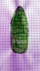 Tavola da surf barbie fai da te