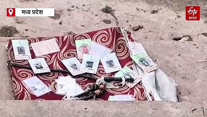 छतरपुर के तालाब में मिली वोटर आईडी की गठरी, पानी में कैसे पहुंचे भारी संख्या में मतदाता पहचान पत्र?