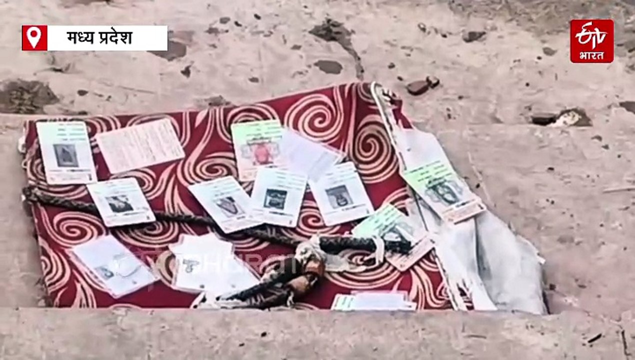 छतरपुर के तालाब में मिली वोटर आईडी की गठरी, पानी में कैसे पहुंचे भारी संख्या में मतदाता पहचान पत्र?