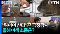 '튀어야 산다' 곧 국정감사...올해 이색 소품은? / YTN