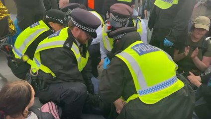 Arrests made as Pro-Palestine Action demo goes ahead in Trafalgar Square