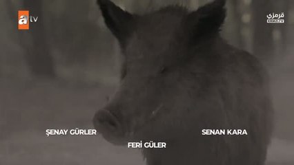 مسلسل حب ودموع الحلقة 3 كاملة ومترجمة - قرمزي - قصة عشق الاصلي