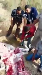 بالفيديو.. قبضت عليهما الشرطة يذبحان الحمار لبيعه.. فأجبرتهما الشرطة على تذوق طعمه