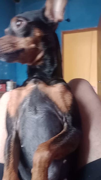 COMO IRRITAR A JULIE