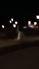 فيديو.. عروس بفستان الزفاف وعريسها بالبشت يتجولان بإحدى الحدائق يثير الجدل