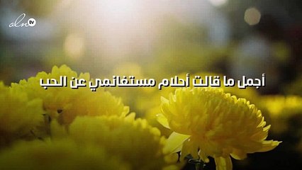 أجمل ما قالت أحلام مستغانمي عن الحب