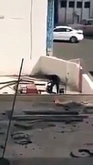 بالفيديو.. مواطن يوثق لحظة خلط عمال بودرة بالوقود بداخل محطة وقود في مكة!