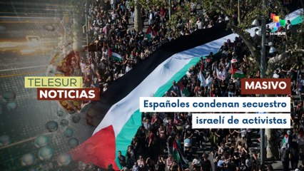 España muestra masivamente su apoyo a la causa palestina