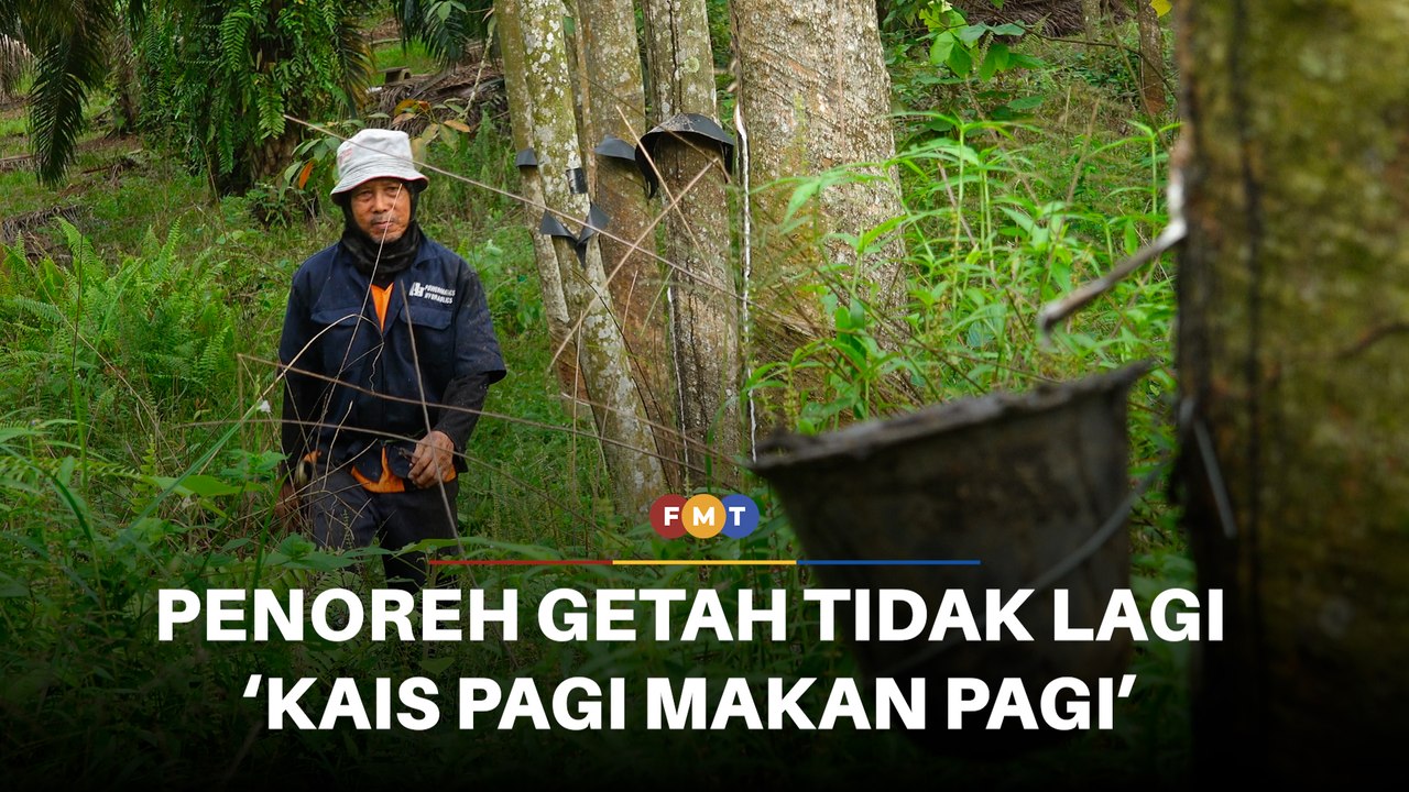 Dulu ‘kais pagi makan pagi’ kini pendapatan penoreh getah berganda