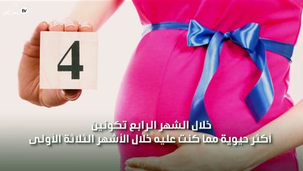 الشهر الرابع من الحمل...بداية المرحلة الأجمل في الحمل