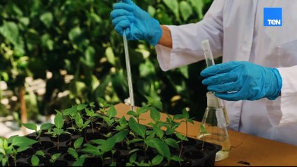 “بالعلم نبنيها”.. فيلم تسجيلي يُبرز دور التعليم في بناء الجمهورية الجديدة