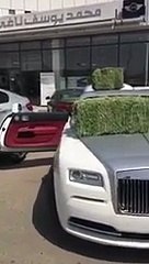 "رولز رويس" أغلى سيارات العالم تتحول لحظيرة علف.. شاهد الفيديو