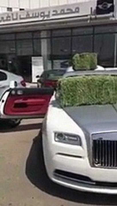 "رولز رويس" أغلى سيارات العالم تتحول لحظيرة علف...