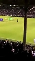 بالفيديو.. فتاة تقتحم ملعب "فولام" خلال مباراة السوبر وتثير الجدل!