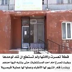 لا يفوتك: قطة تستنجد بالأطباء لمساعدتها على الولادة!!