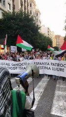 Manifestació a València