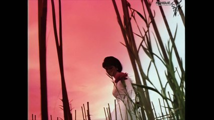 Tịnh Quyên - Kiếp hoa [OFFICIAL MV] [4K HD REMASTERED]