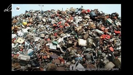 صورة.. حل لغز أين توجد القطة الذي حير العالم