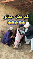 Kam_AQal_jamalO___Pashto_Funny_Video_🤣😂___Funny_Video_By_BD_Vines_2025__#bdvines__#p...Kam_AQal_jamalO___Pashto_Funny_Video_🤣😂___Funny_Video_By_BD(360p)