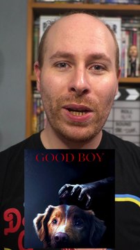 Good Boy (2025) (REVIEW) | Projector Shorts | Horror from a dog's POV