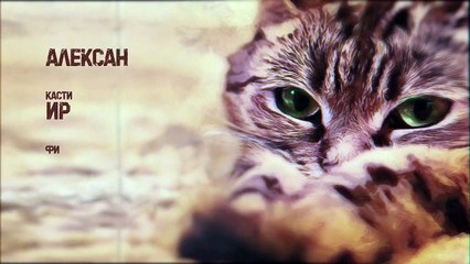 Женщина с котом и детективом 4 сезон 3 серия.