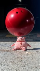 Testing stretchy rubber pig and Butter making gadget!