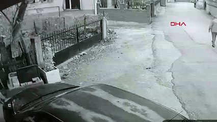 Yavru köpeği kuyruğundan tutup yere fırlattı