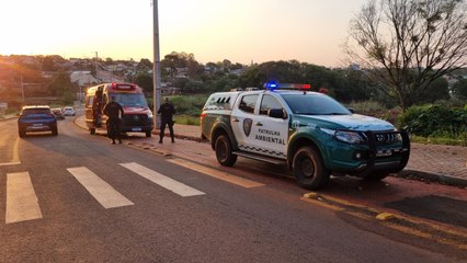 Rapaz fica gravemente ferido após acidente no Bairro Floresta em Cascavel