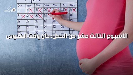 الأسبوع الثالث عشر من الحمل: حان وقت الفحوص