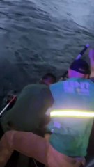 ssstik.io_@vpacheco18_1759614768699