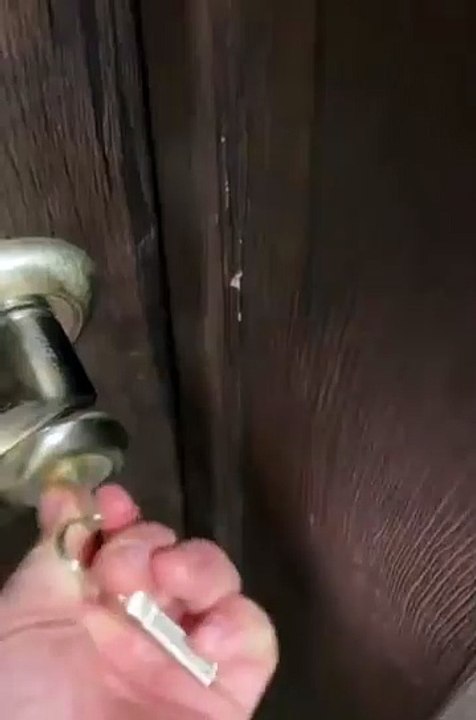 Когда вспомнил что забыл насыпать коту корм перед уходом на работу