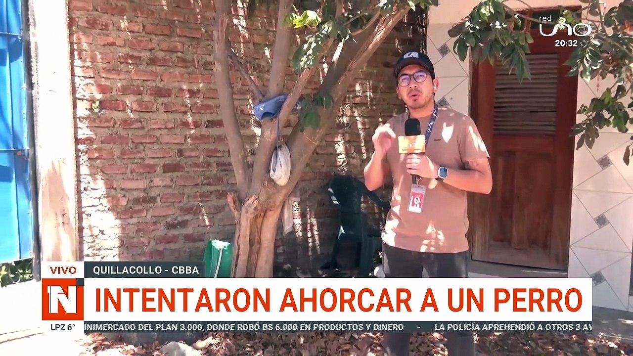 PERRITO