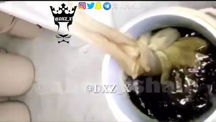 بالفيديو..  تفاصيل واقعة سكب سموم في ترامس مياه زمزم