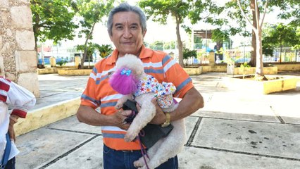 Bendicen a mascotas en San Sebastián durante las fiestas de San Francisco